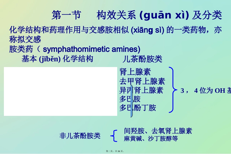 肾上腺素受体激动药_第2页