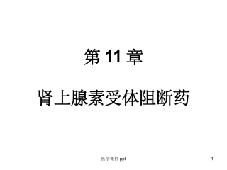 肾上腺素受体阻断药