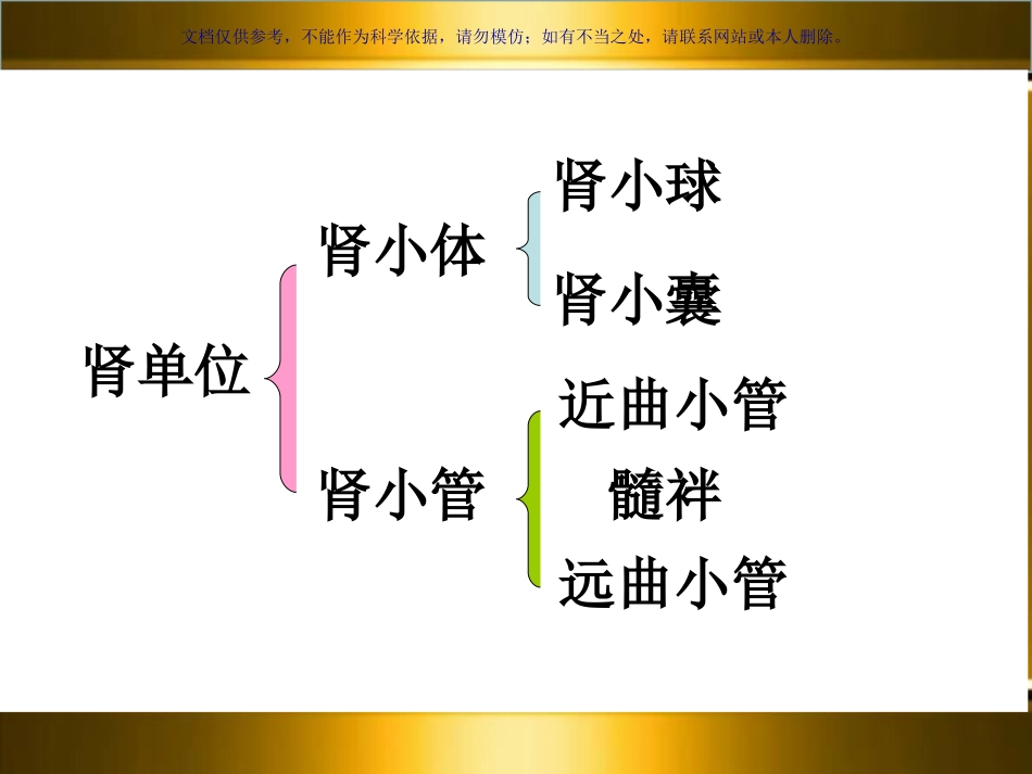 肾小管酸中毒汇总课件_第2页