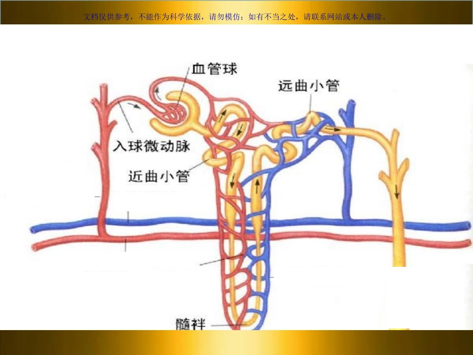 肾小管酸中毒汇总课件_第3页