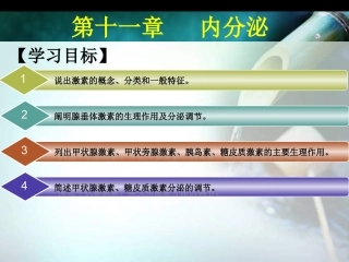 生理学第十一章