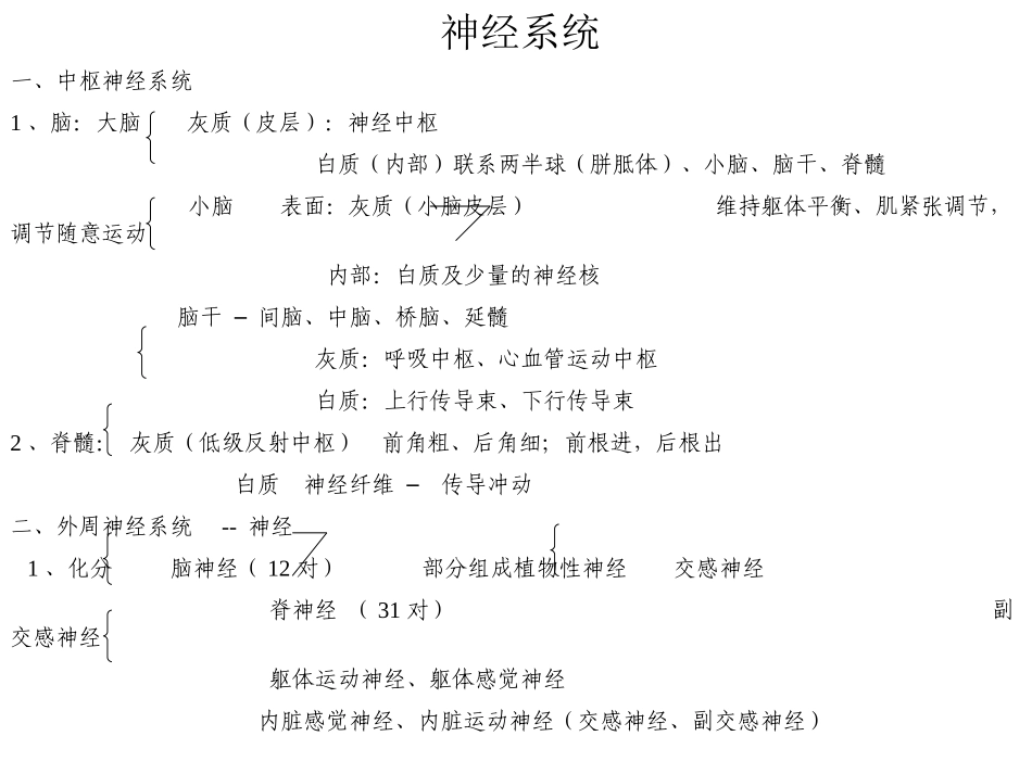 生理学课件神经系统完整_第3页