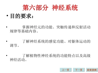 生理学课件神经系统完整