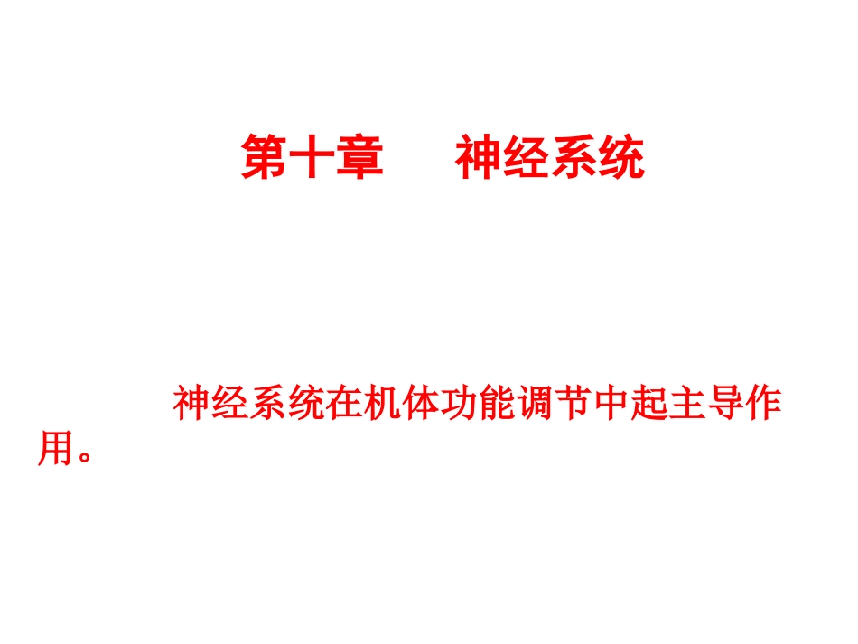 生理学神经系统_第3页