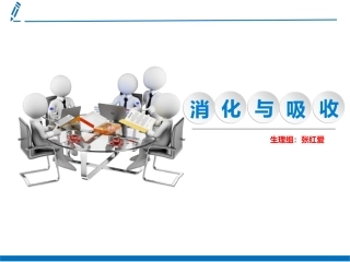 生理学消化与吸收