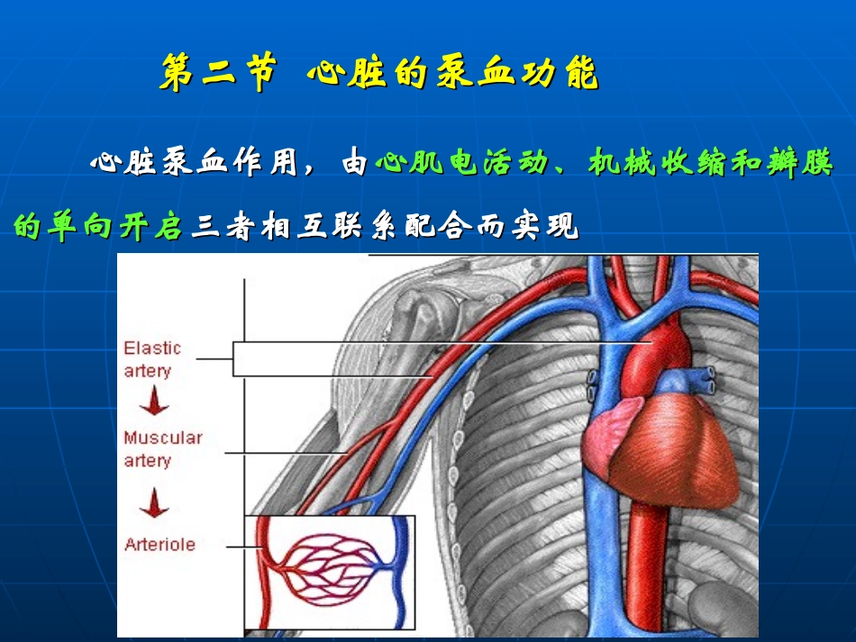 生理学血液循环_第2页
