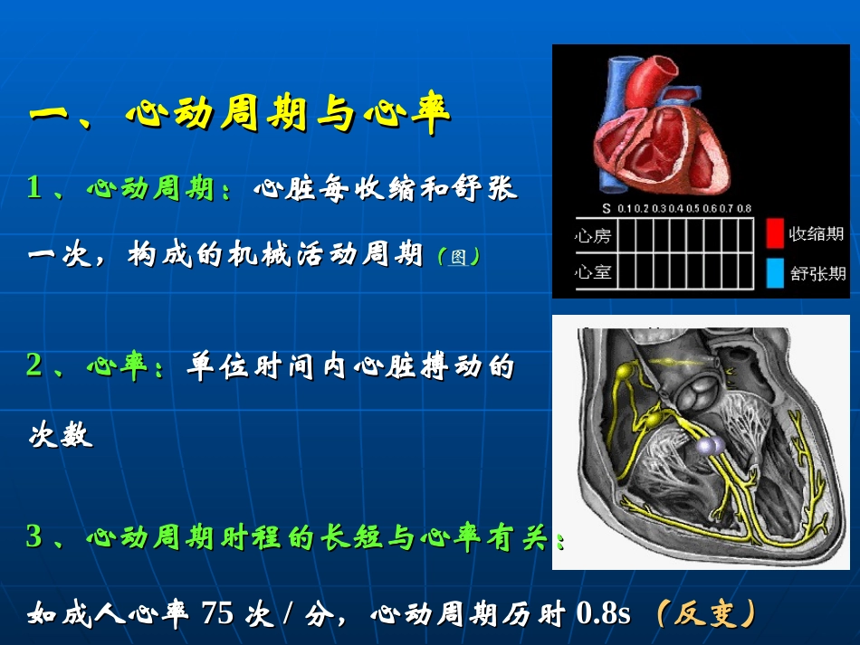 生理学血液循环_第3页