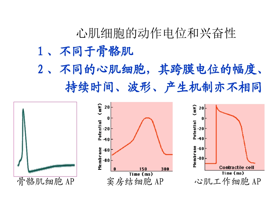 生理学血液循环章_第3页