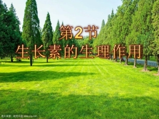 生长素的生理作用