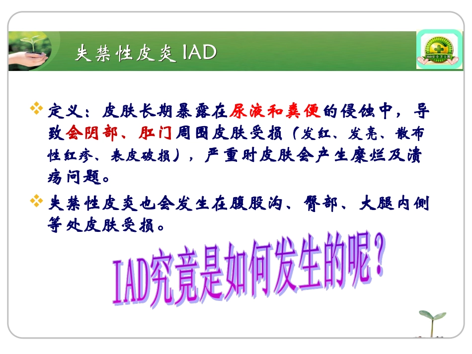 失禁性皮炎护理_第3页