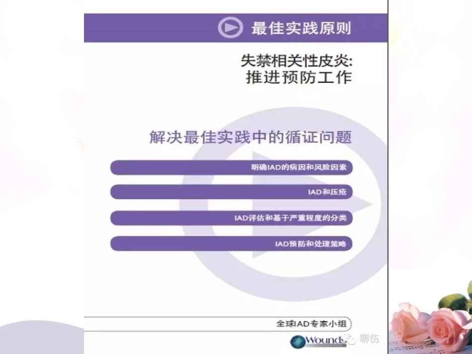失禁性皮炎指南汇总讲义_第2页