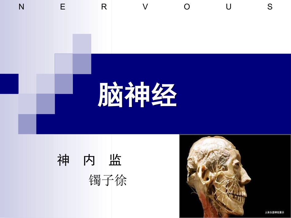 十二对颅神经_第1页