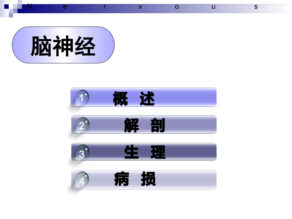十二对颅神经_第2页