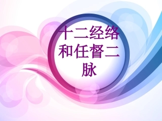 十二经络和任督二脉课件