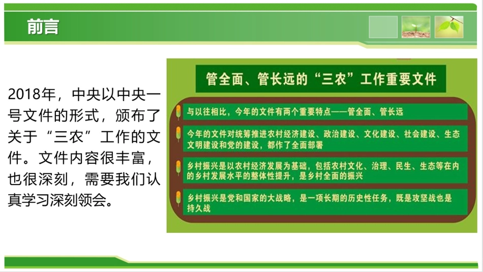 实施乡村振兴战略专题培训课件_第2页