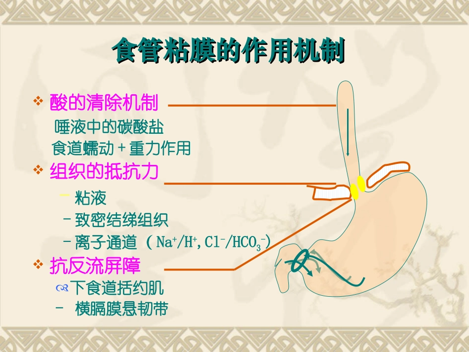 食管溃疡的病因及内镜表现_第2页