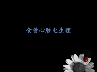 食管心脏电生理