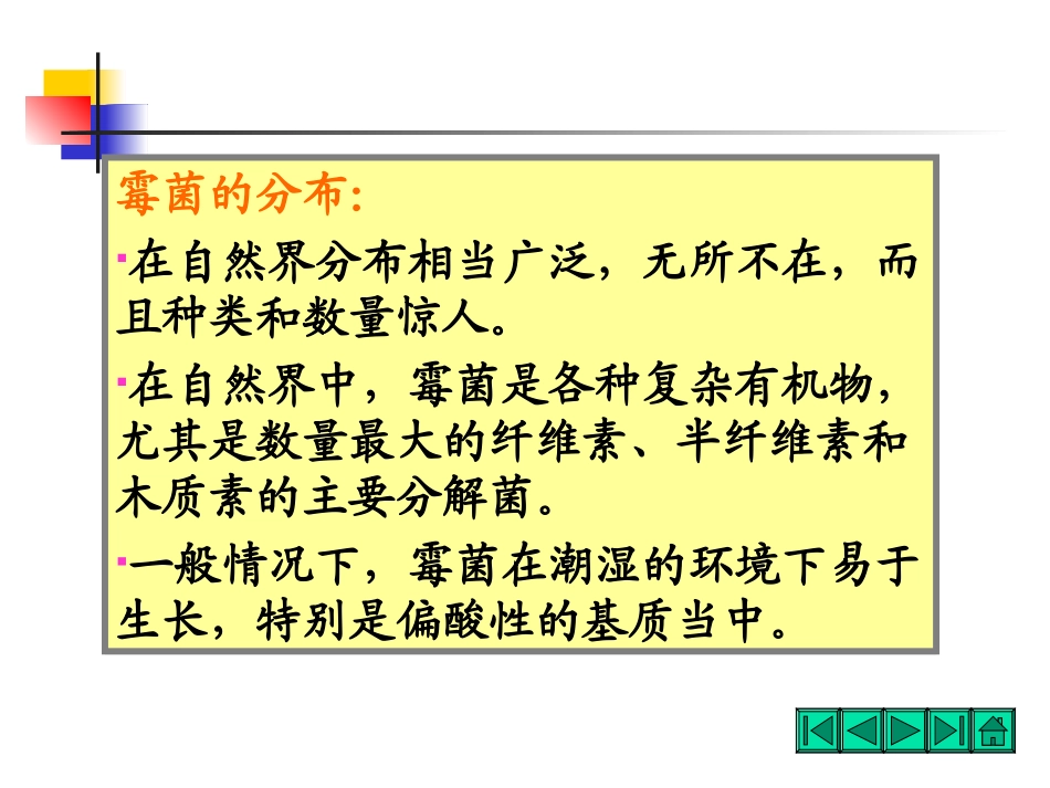 食品微生物霉菌_第3页