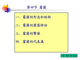 食品微生物霉菌
