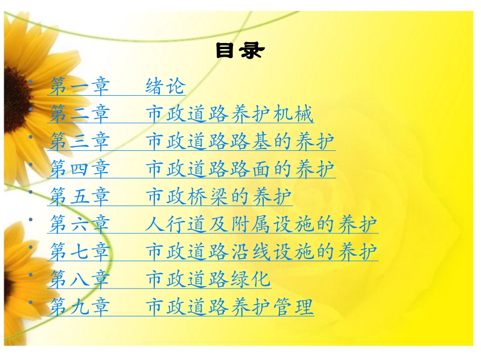 市政道路养护和管理方案_第1页