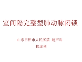 室间隔完整型肺动脉闭锁