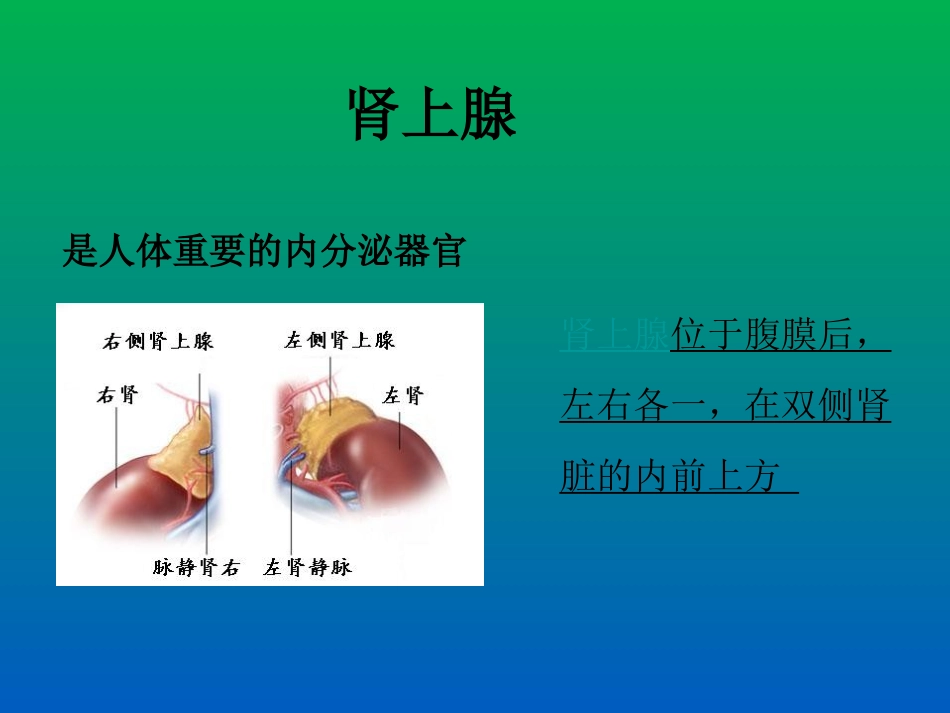 嗜铬细胞瘤手术的麻醉_第2页