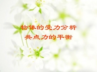 受力分析物体的平衡