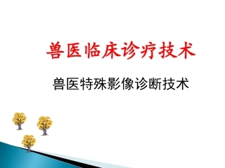 兽医临床诊断技术特殊影像诊断技术