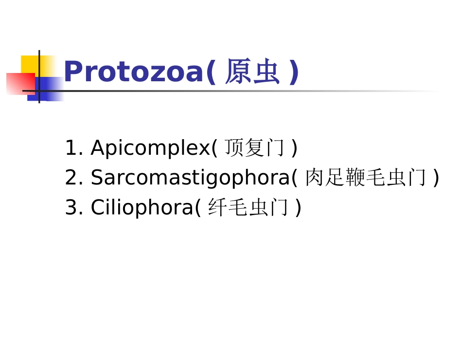 兽医学动物寄生虫_第2页
