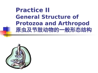 兽医学动物寄生虫