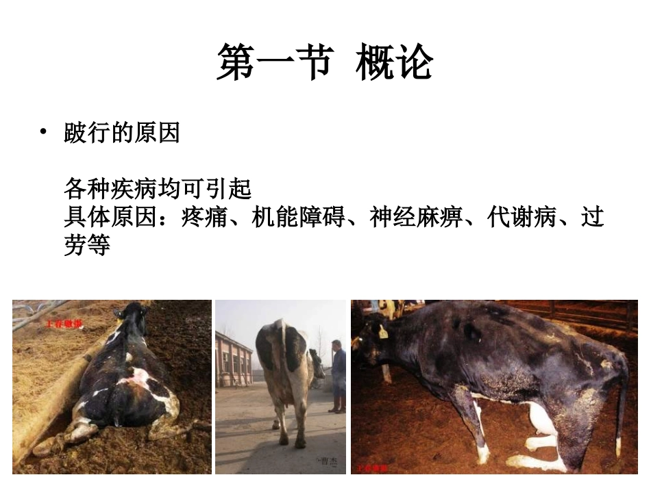 兽医学课件跛行诊断_第3页