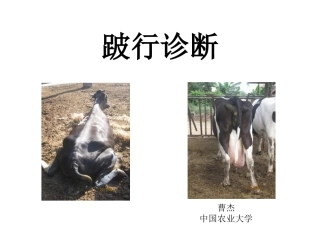 兽医学课件跛行诊断