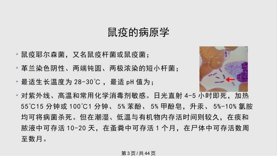 鼠疫防治知识培训课件_第3页