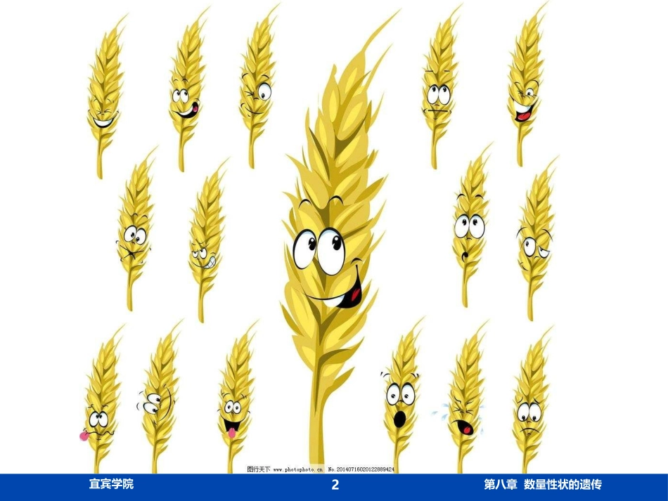 数量性状的遗传_第2页
