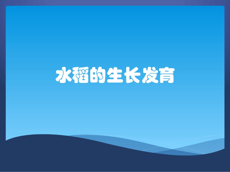 水稻的生长发育_第1页