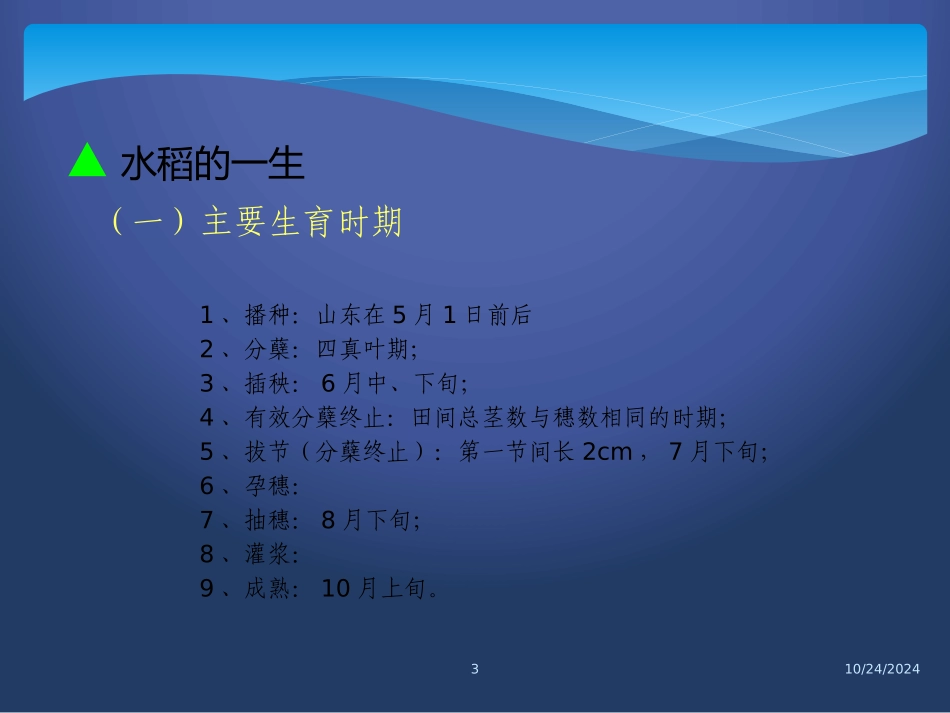 水稻的生长发育_第3页