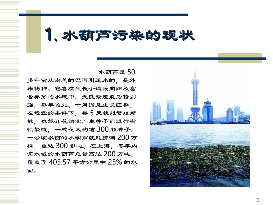 水葫芦生长及治理模型_第3页