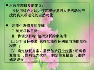 水环境的修复技术河流生态修复
