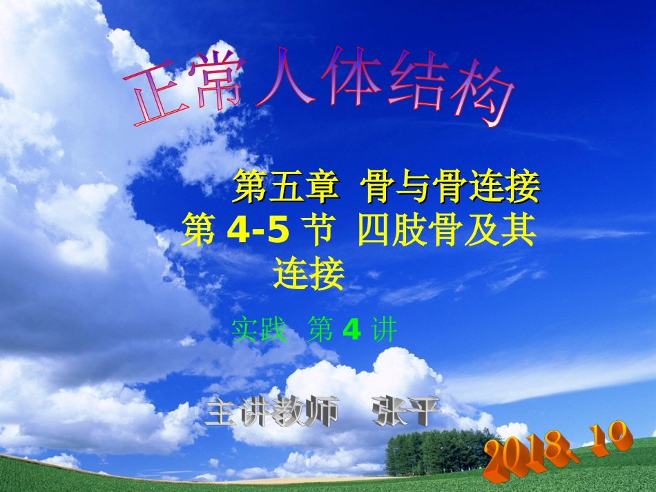 四肢骨及其连结_第1页