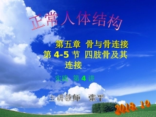 四肢骨及其连结