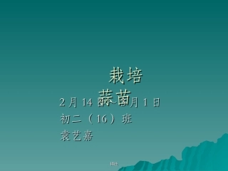 蒜苗蒜黄生长过程