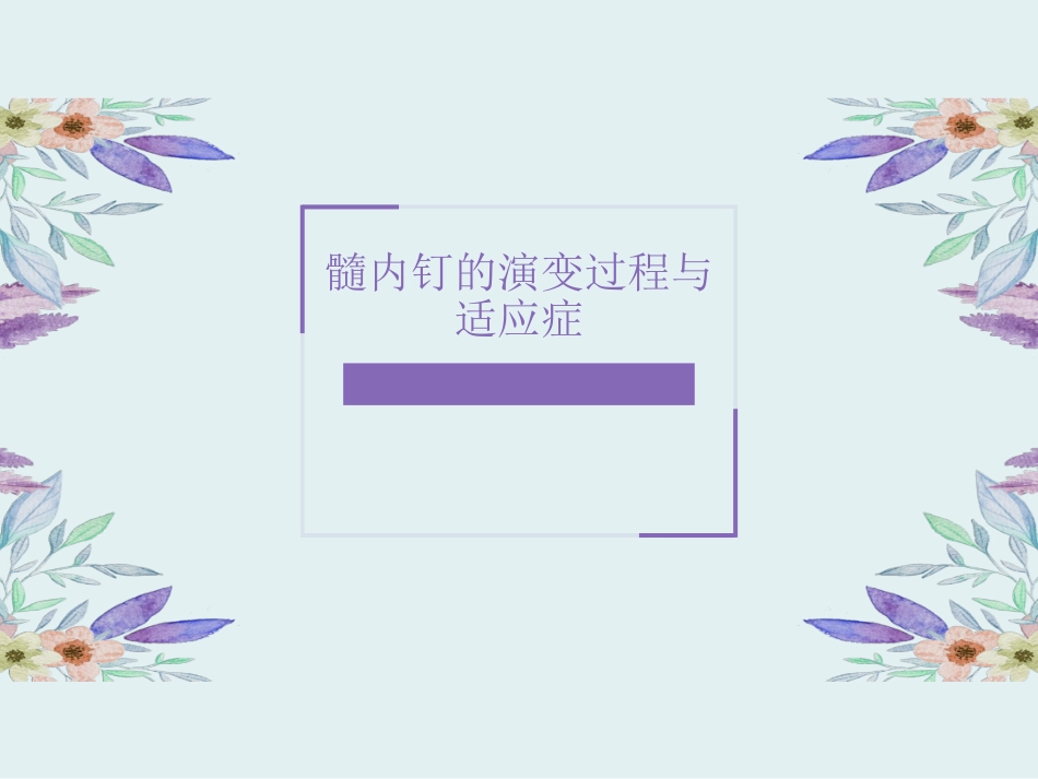 髓内钉的发展_第1页