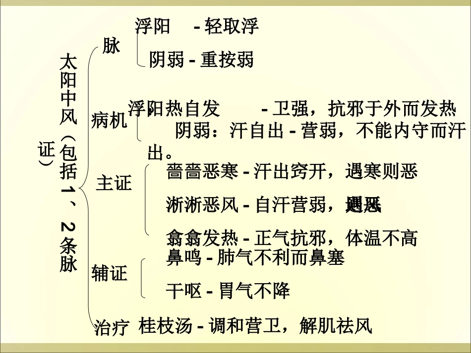 太阳本证中风表虚证及兼证伤寒论_第3页