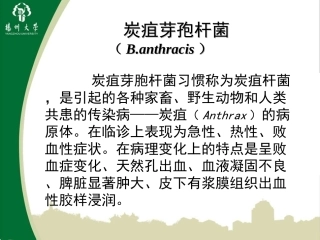 炭疽芽孢杆菌课件