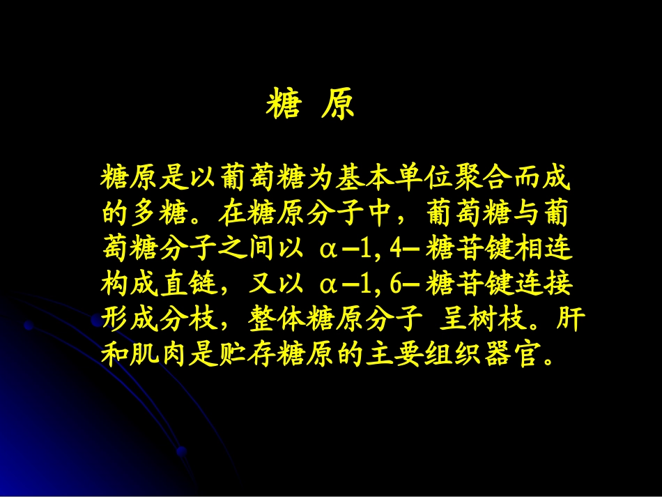 糖原的合成与分解_第2页