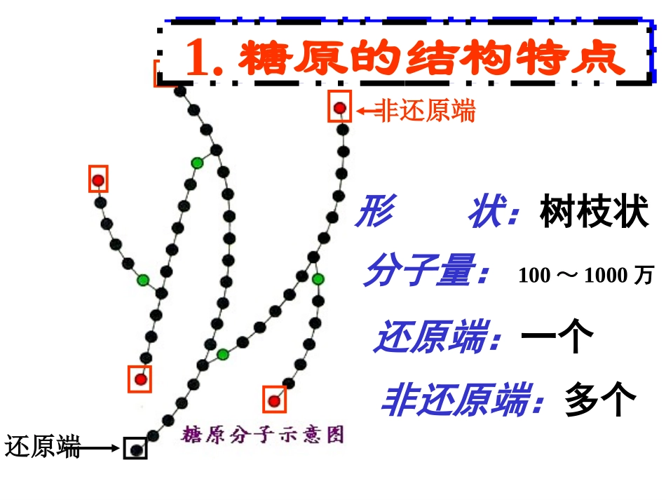 糖原的合成与分解_第3页