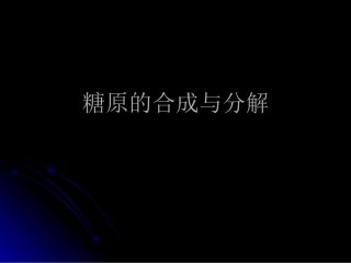 糖原的合成与分解