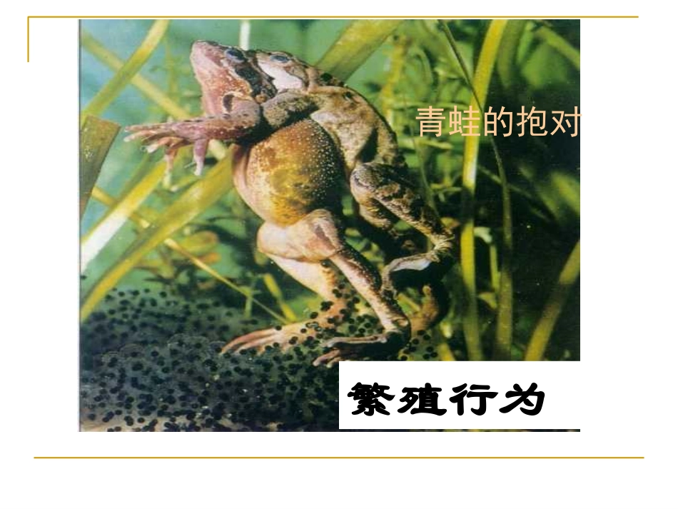 条件反射和非条件反射课件_第3页