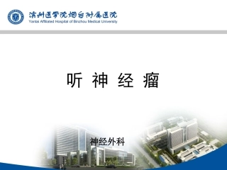 听神经瘤神经外科课件