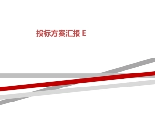 投标方案汇报E